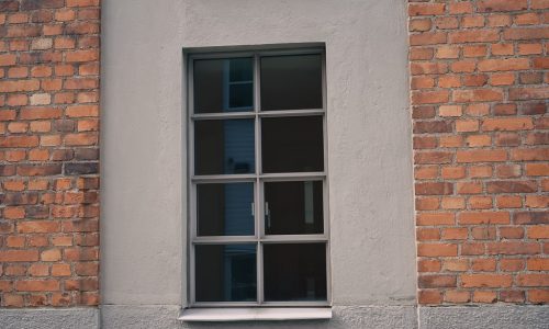 Fönster-Barnängshuset