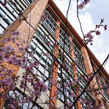 Glasfasder Millennium Barnängen-2