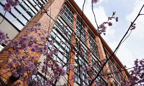 Glasfasder Millennium Barnängen-2